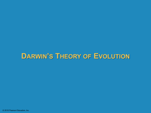 13.1 A sea voyage helped Darwin frame his theory of evolution