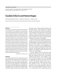 Caudate Infarcts and Hemorrhages