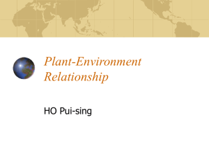 Plant-Environment Relationship