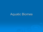 Aquatic Biomes - BAschools.org