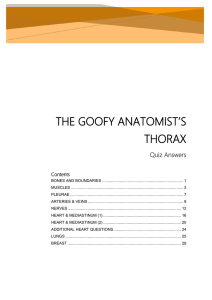 The Goofy anatomist`s thorax