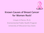 Known Causes of Breast Cancer for Women Rock!