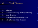 II. Classification of Microorganisms