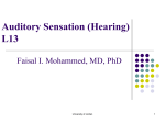 Auditory Sensation (Hearing)