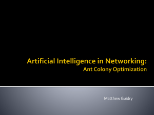 Artificial Intelligence in Networking: Ant Colony Optimization