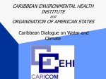 The Caribbean Environmental Health Institute