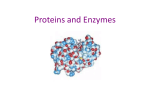 (most also have sulfur) The monomers of proteins are amino acids.