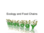 Ecology and Food Chains