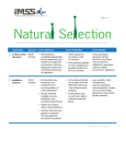 Natural Selection - Unit Timeline