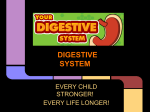 digestive system - River Vale Schools