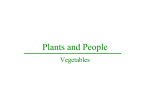 is a plant`s roots, shoots, or stems….
