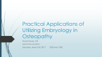 Practical Applications of Utilizing Embryology in Osteopathy