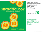 Gram positive pathogens