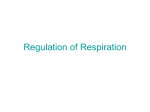 Regulation of Respiration