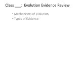 Evolution Evidence Review