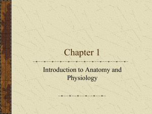 Chapter 1