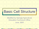 Basic Cell Structure - Georgia CTAE | Home