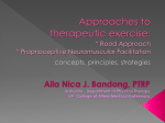 Approaches to therapeutic exercises