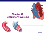 Circulatory System Fill In Blank Notes