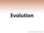Chapter 16 Evolution and Adapations