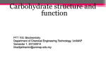 week 5_carbohydrates cont