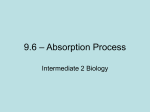 9.6 – Absorption Process