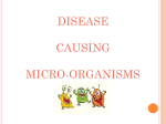 DISEASE CAUSING MICRO-ORGANISMS