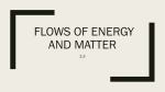 Flow of energy and matter