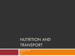 Nutrition and Transport