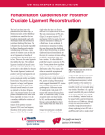 Rehabilitation Guidelines for Posterior Cruciate Ligament