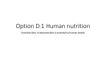 Option D1: Human nutrition - Ms. Richards IB Biology HL