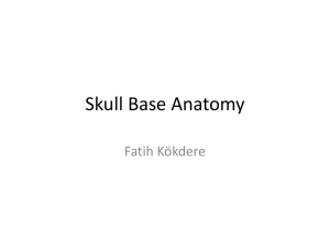 Skull Base Anatomy
