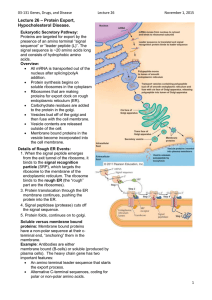 03-131 Genes, Drugs, and DiseaseLecture 26November 1, 2015