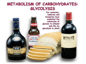 19_Glycolysis, aerobic oxidation of glucose