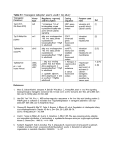 Table S1: Transgenic zebrafish strains used in this study Transgenic