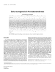 Early neurogenesis in Amniote vertebrates