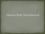 Human Body Introduction