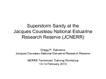 Superstorm Sandy at the Jacques Cousteau National Estuarine