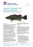 Eastern Freshwater Cod - NSW Department of Primary Industries