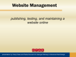 publishing testing and maintaining a website online