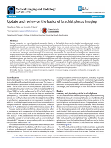 Update and review on the basics of brachial plexus imaging