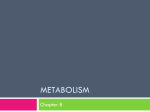 An Introduction to Metabolism