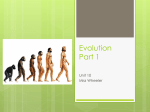 Evolution NOTES