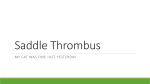 Saddle Thrombus