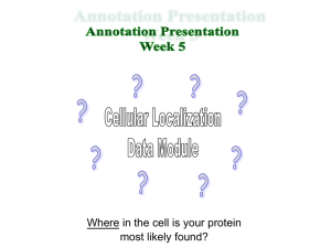 Where in the cell is your protein most likely found?