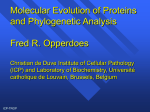 Molecular evolution of proteins and Phylogenetic Analysis Fred R