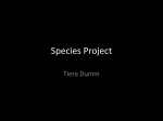 Species Project.tiera