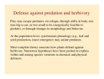 Defense against predation and herbivory