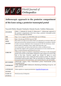Arthroscopic approach to the posterior compartment of the knee