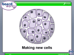 Cells - Boardworks